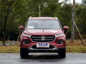 国产1级,引领科技潮流，铸就民族品牌辉煌